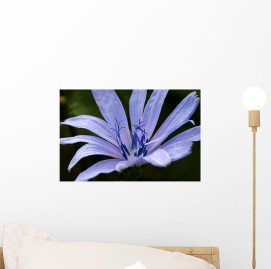 Just Flower Wall Mural