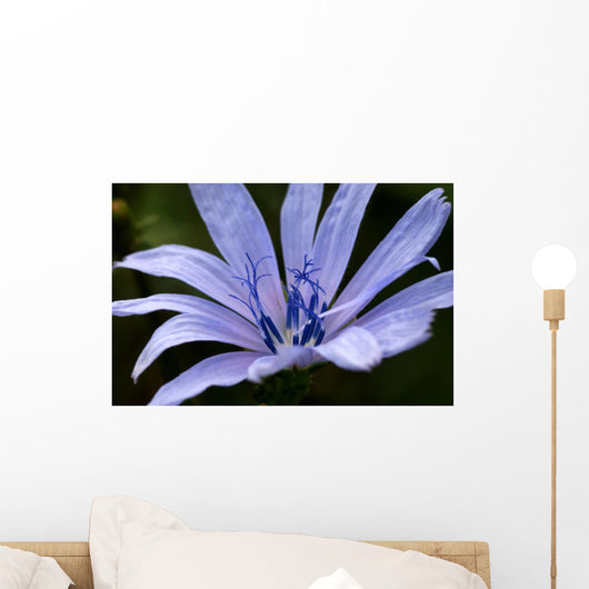 Just Flower Wall Mural