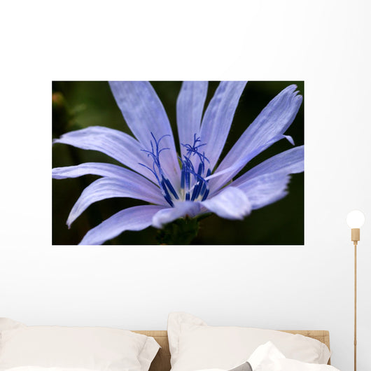 Just Flower Wall Mural