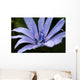 Just Flower Wall Mural