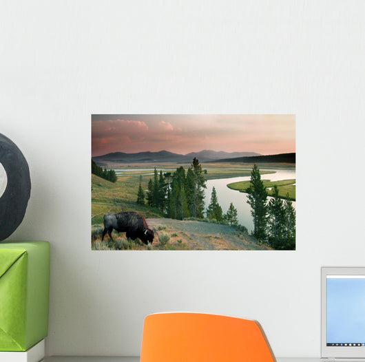 yellowstone national park Wall Mural