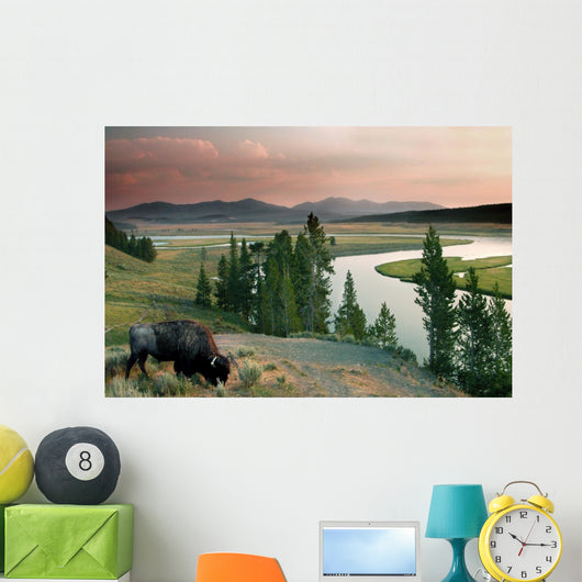 yellowstone national park Wall Mural