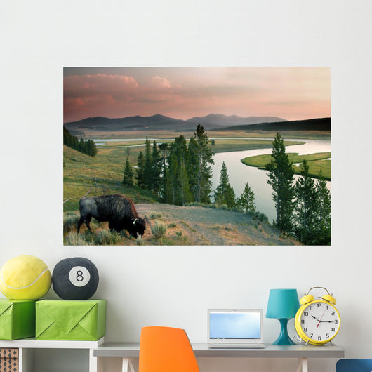 yellowstone national park Wall Mural