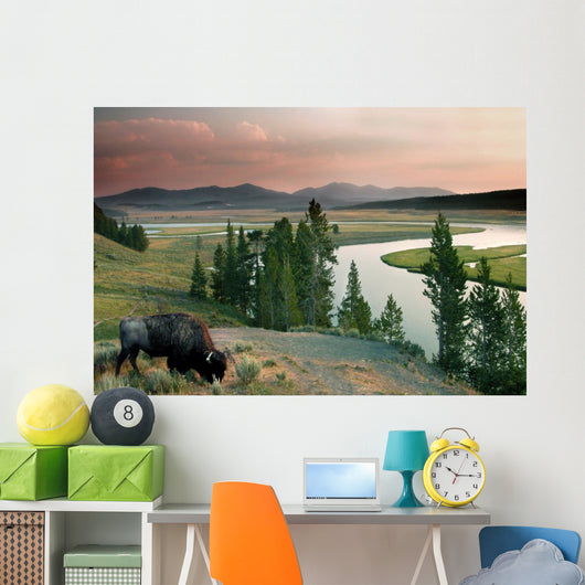 yellowstone national park Wall Mural