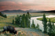 yellowstone national park Wall Mural
