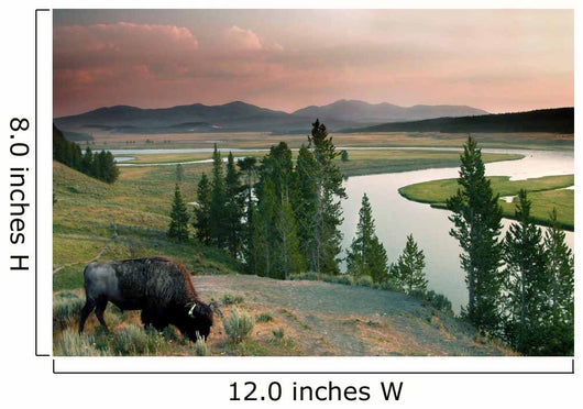 yellowstone national park Wall Mural