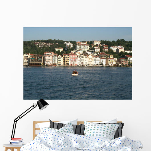 Istanbul Wall Mural