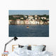 Istanbul Wall Mural