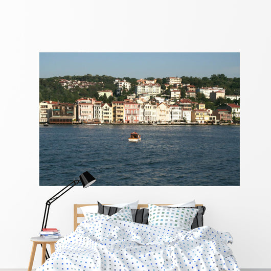 Istanbul Wall Mural