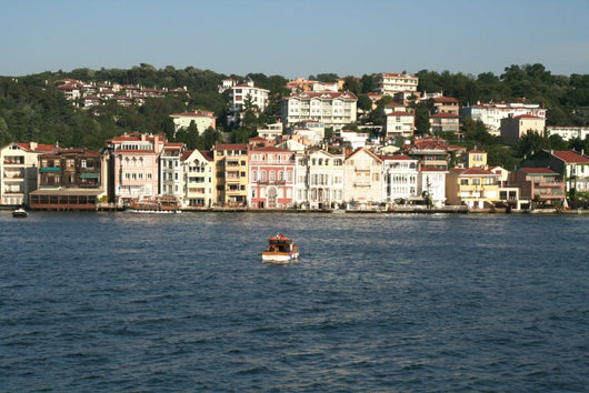 Istanbul Wall Mural