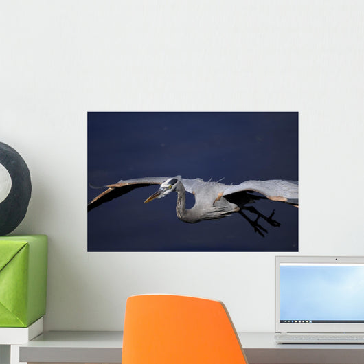 Great Blue Heron Portrait Wall Mural
