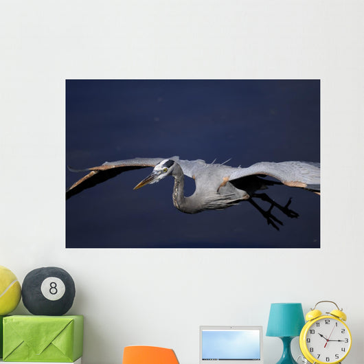Great Blue Heron Portrait Wall Mural