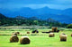 Mountain Hay Wall Decal