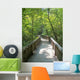 Walk Nature Wall Decal
