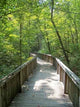 Walk Nature Wall Decal