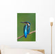 Kingfisher Wall Mural