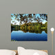 Pond Wall Mural