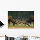 Red deer fight Wall Mural