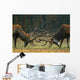 Red deer fight Wall Mural