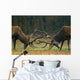 Red deer fight Wall Mural