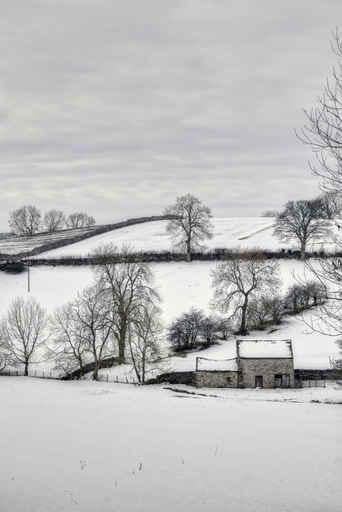 Bleak Winter Countryside Wall Decal