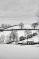 Bleak Winter Countryside Wall Decal