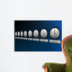 Time zone Wall Mural
