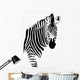 zebra B/N Wall Decal