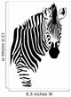 zebra B/N Wall Decal