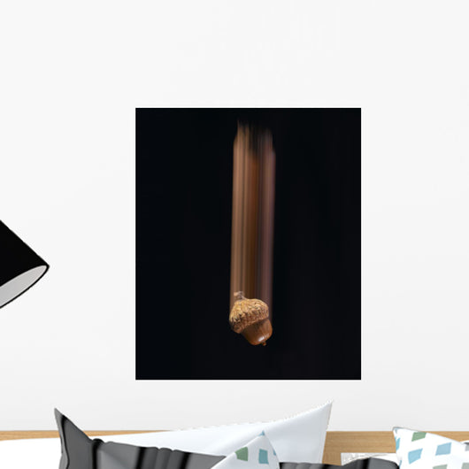 Single Acorn Falling Wall Mural