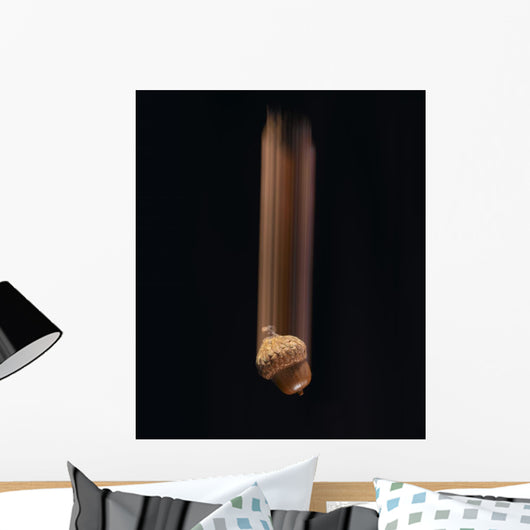 Single Acorn Falling Wall Mural