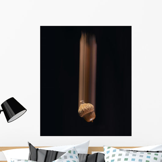 Single Acorn Falling Wall Mural