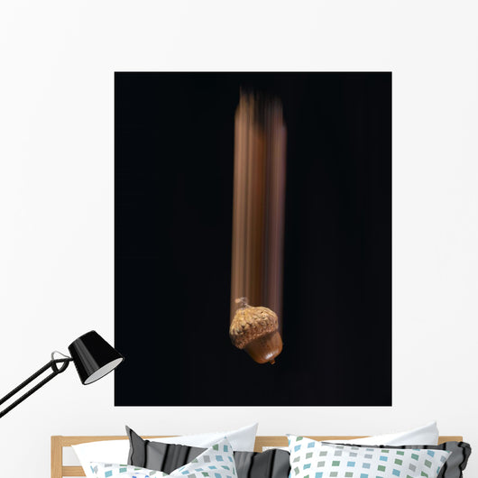Single Acorn Falling Wall Mural