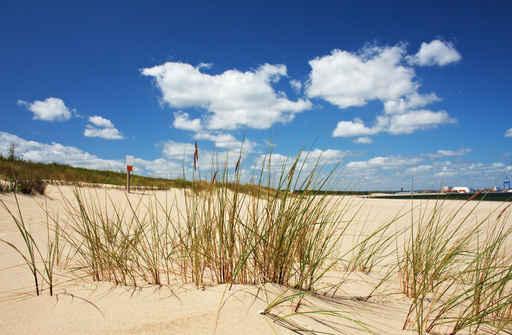 Baltic Coast Wall Decal
