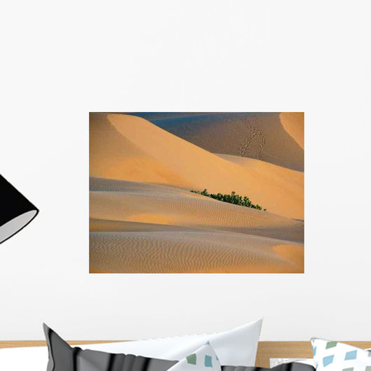 Dunes Wall Decal