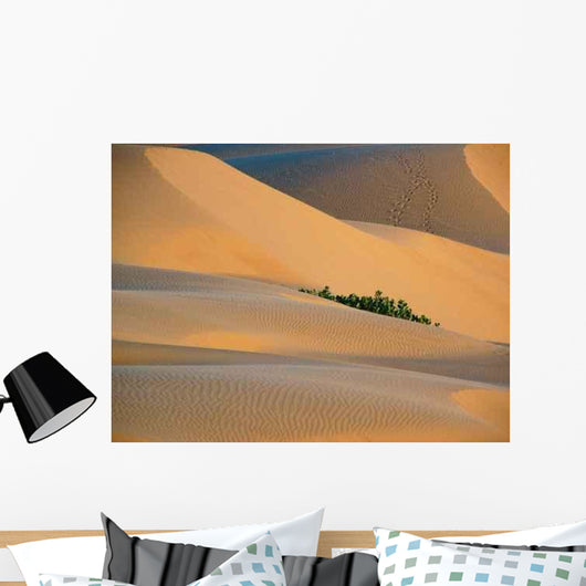 Dunes Wall Decal