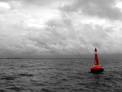 Buoy Wall Decal