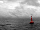 Buoy Wall Decal