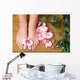 Pedicure Wall Mural