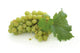 Green Grape Cluster Wall Decal