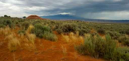 Utah Grasslands Wall Decal