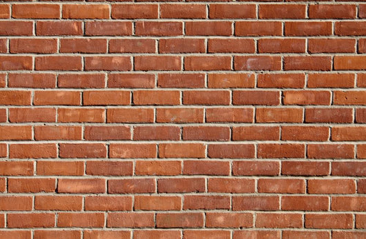 Brick Wall Wall Mural