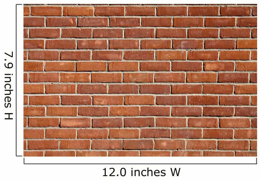 Brick Wall Wall Mural