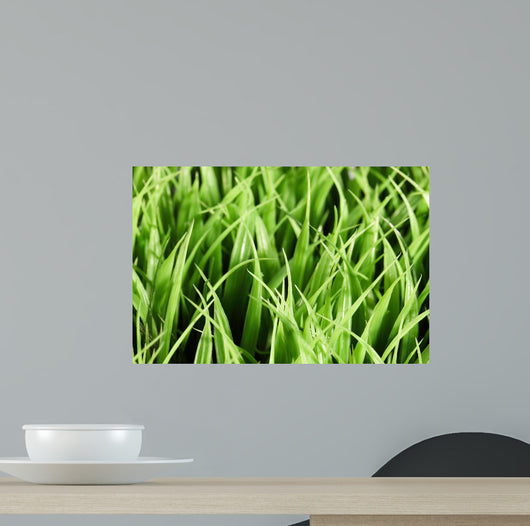 Artificial Grass Wall Mural