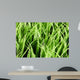Artificial Grass Wall Mural