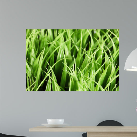 Artificial Grass Wall Mural