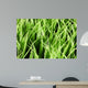 Artificial Grass Wall Mural