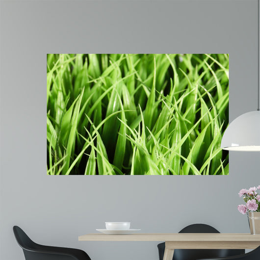 Artificial Grass Wall Mural