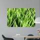 Artificial Grass Wall Mural