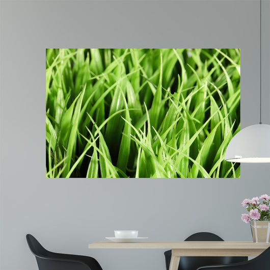 Artificial Grass Wall Mural
